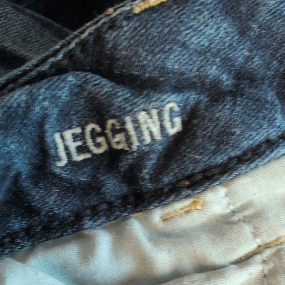 American Eagle Outfitters Women's Deep Indigo Vintage Jegging Jeans 12      F186 - Picture 8 of 8